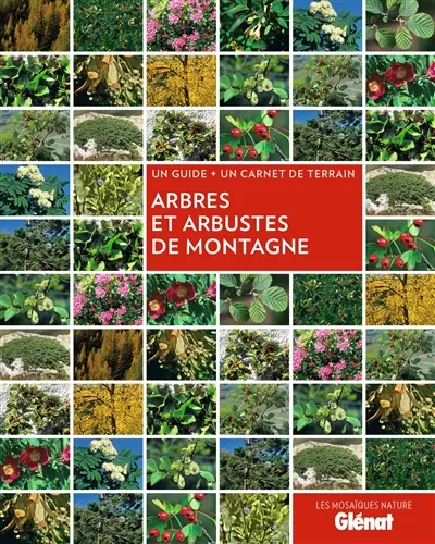 Arbres et arbustes de montagne : un guide + un carnet de terrain