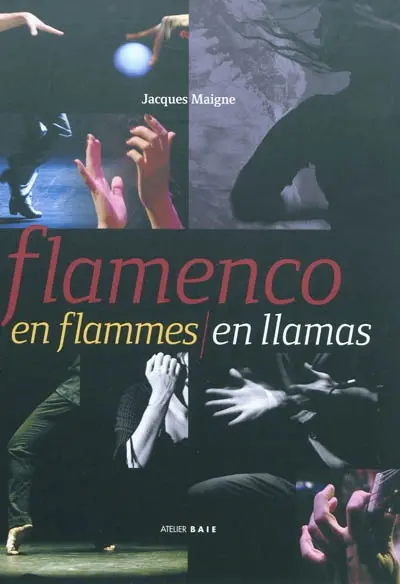 Flamenco en flammes. Flamenco en llamas