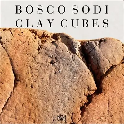 Bosco Sodi The Clay Cubes