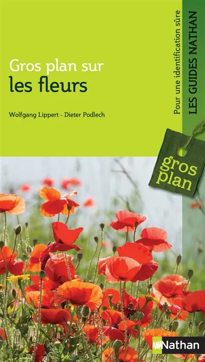 Gros plan sur les fleurs