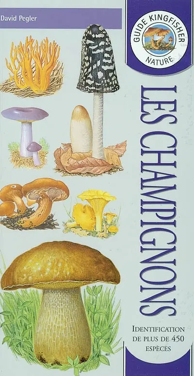Les champignons