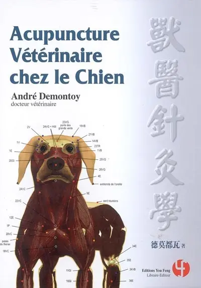 Acupuncture vétérinaire chez le chien
