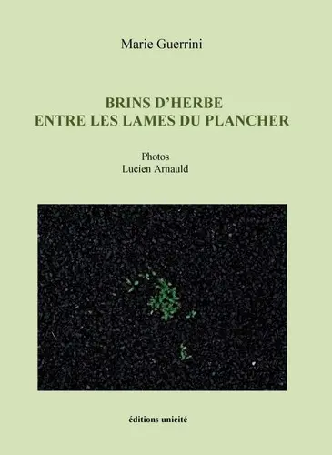 Brins d'herbe entre les lames du plancher