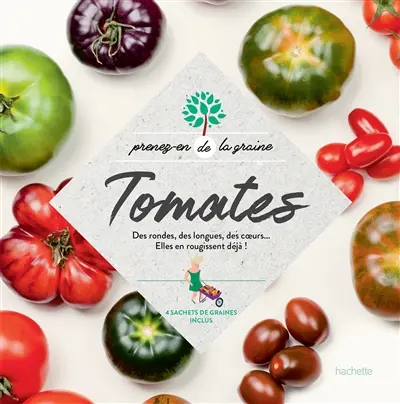 Tomates : des rondes, des longues, des coeurs... : elles en rougissent déjà !