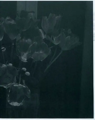 Hymnes à la nuit. Hymnen an die Nacht. Anthemps to the night