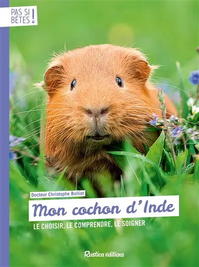 Mon cochon d'Inde : le choisir, le comprendre, le soigner