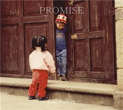 Sean Palfrey Promise