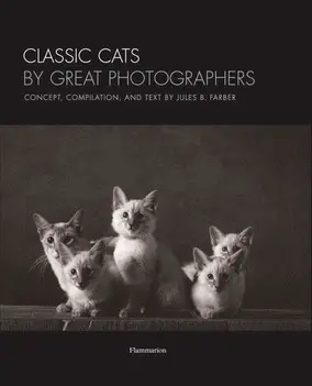 Classic cats by great photographers