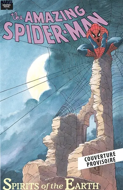 Spider-Man graphic novels