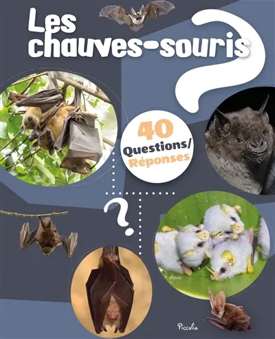 Les chauves-souris