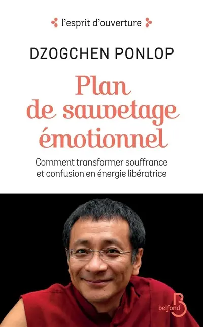 Plan de sauvetage émotionnel : comment transformer souffrance et confusion en énergie libératrice
