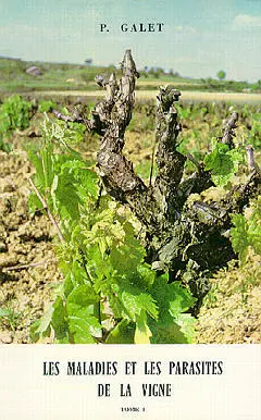Les maladies et les parasites de la vigne. Vol. 1. Les maladies dues à des végétaux