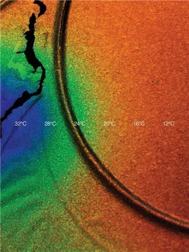 Cooper Jacoby How Do I Survive ?