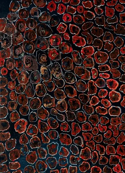 René Moreu : l'oeil nu