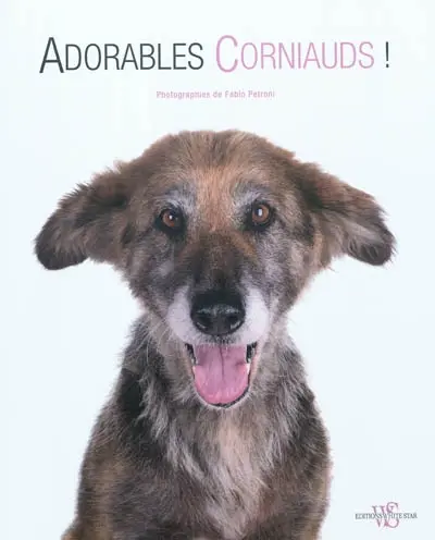Adorables corniauds !