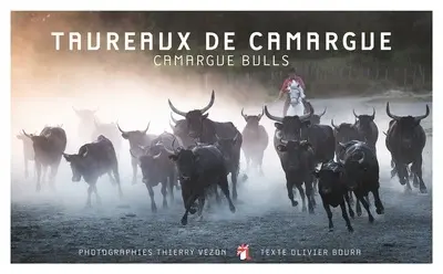 Taureaux de Camargue. Camargue bulls
