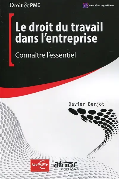 Le droit du travail dans l'entreprise : connaître l'essentiel