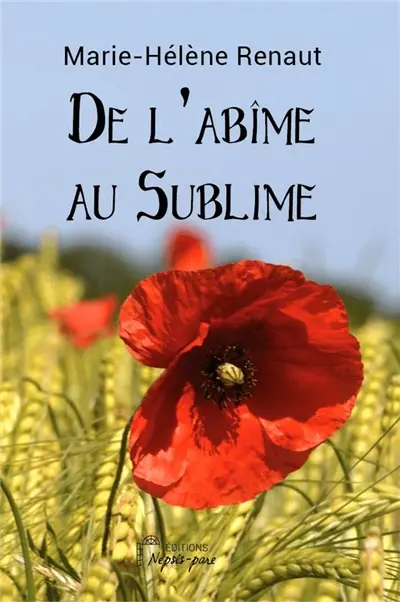 De l'abîme au sublime
