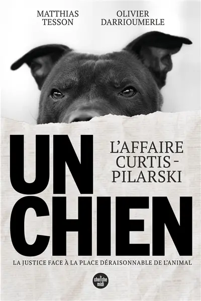 Un chien : l'affaire Curtis-Pilarski