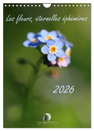 Les fleurs, éternelles éphemères (Calendrier mural 2026 DIN A4 horizontal), CALVENDO calendrier mensuel : Un calendrier poétique qui capture, mois après mois, la beauté fugace et intemporelle des fleurs dans toute leur splendeur éphémère.
