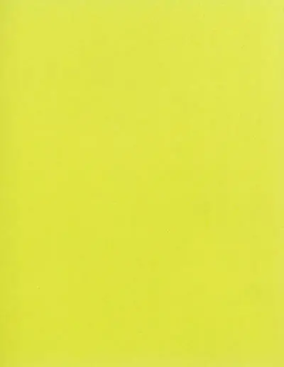 Nine images of the glass house and one portrait