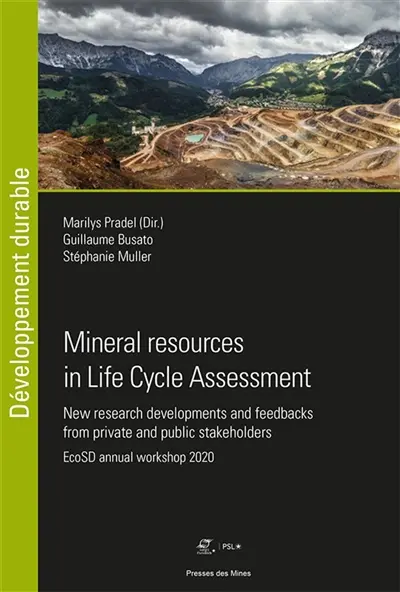 Mineral resources in Life cycle assessment : new research developments and feedbacks from private and public stakeholders