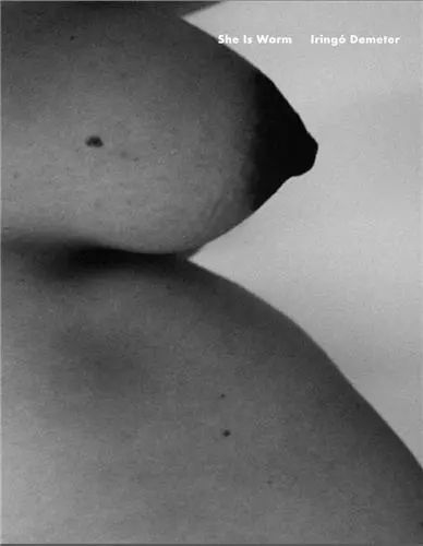 Iringo Demeter She Is Warm (Seasons Series #12 Winter)