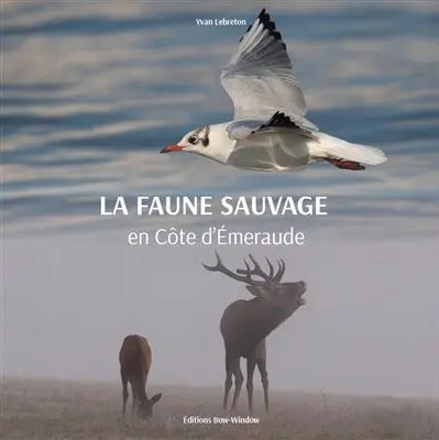 La faune sauvage en Côte d'Emeraude