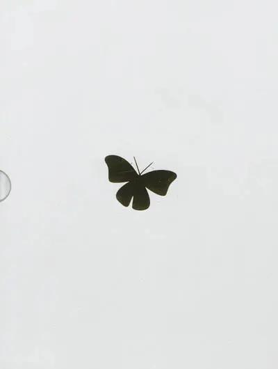 Luck lines : an anthological fantasia in Espernal country