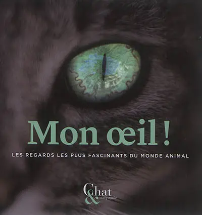 Mon oeil ! : les regards les plus fascinants du monde animal