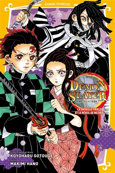 Demon slayer : Kimetsu no yaiba : roman jeunesse. Vol. 9
