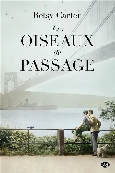Les oiseaux de passage