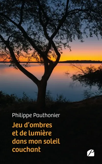 Jeu d'ombres et de lumière dans mon soleil couchant