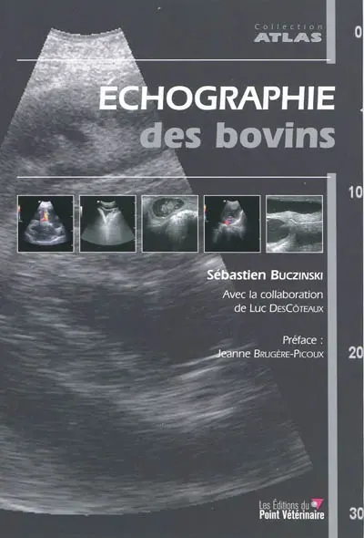 Echographie des bovins