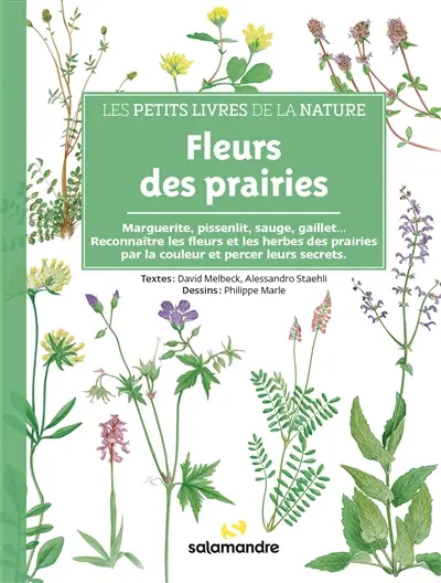 Fleurs des prairies : marguerites, pissenlits, sauges, gaillets... : reconnaître les fleurs et les herbes des prairies par la couleur et percer leurs secrets