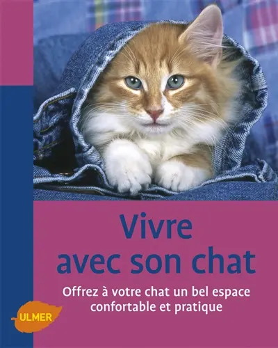 Vivre avec un chat : comment aménager la maison pour son bien-être