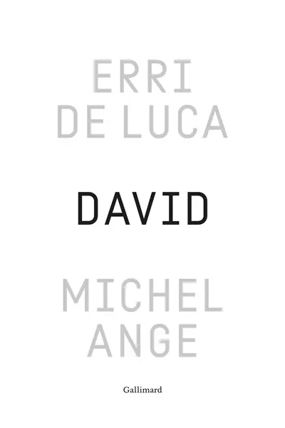 David, Michel-Ange : enquête sur une disproportion