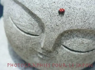 Photographies pour le Japon