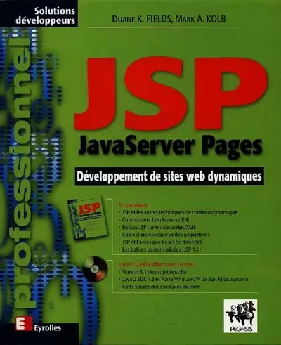 JSP (JavaServer Pages)