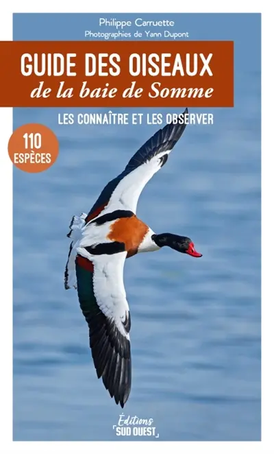 Guide des oiseaux de la baie de Somme : 110 espèces à découvrir, où les observer