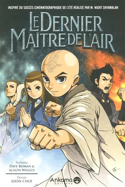 Le dernier maître de l'air