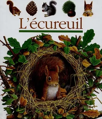 L'écureuil