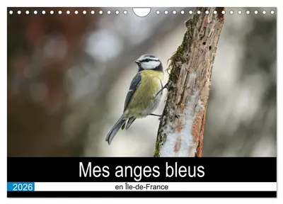 Mes anges bleus en Ile-de-France (Calendrier mural 2026 DIN A4 vertical), CALVENDO calendrier mensuel : La mésange bleue dans des postures improbables