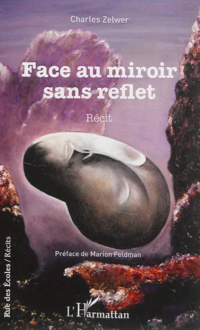 Face au miroir sans reflet : récit