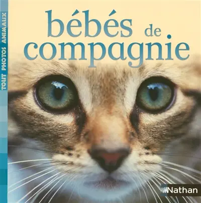Bébés de compagnie
