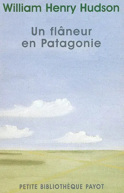 Un flâneur en Patagonie