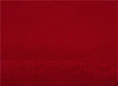 Eduardo Nave Normandie