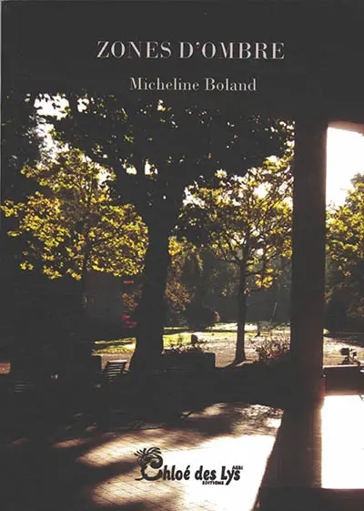 Zones d'ombre