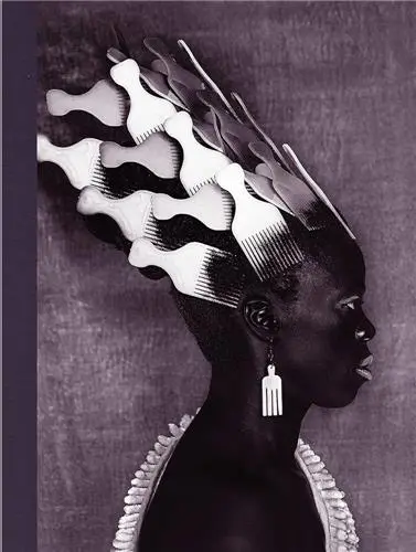 Zanele Muholi Somnyama Ngonyama, Hail the Dark Lioness, Vol. II