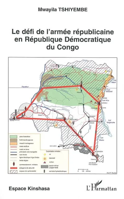 Le défi de l'armée républicaine en République démocratique du Congo